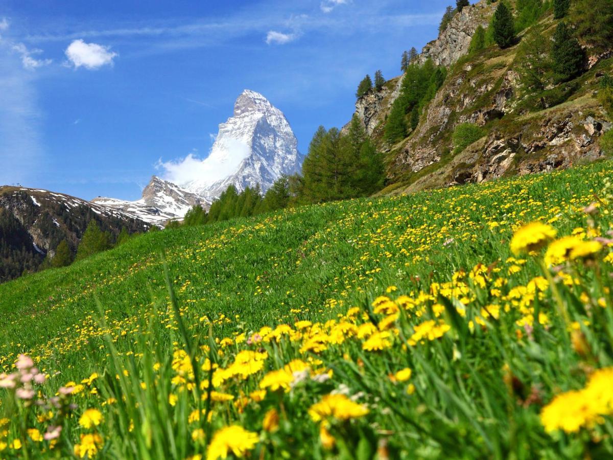 Studio Silence-4 By Interhome Zermatt Exterior foto